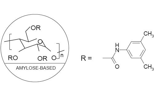 FLM Chiral NZ(2)